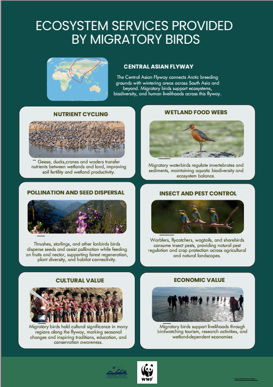 Ecosystem Services Provided by Migratory Birds