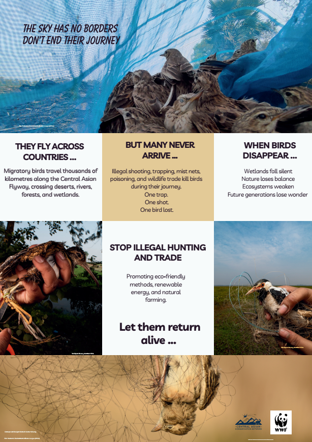 The Sky Has No Borders — Stop Illegal Hunting and Trade