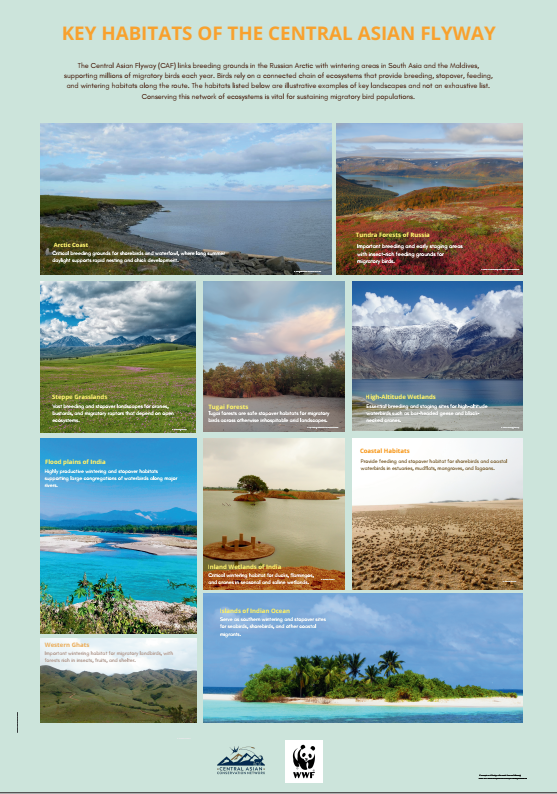 Key Habitats of the Central Asian Flyway